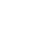 Website support button icon