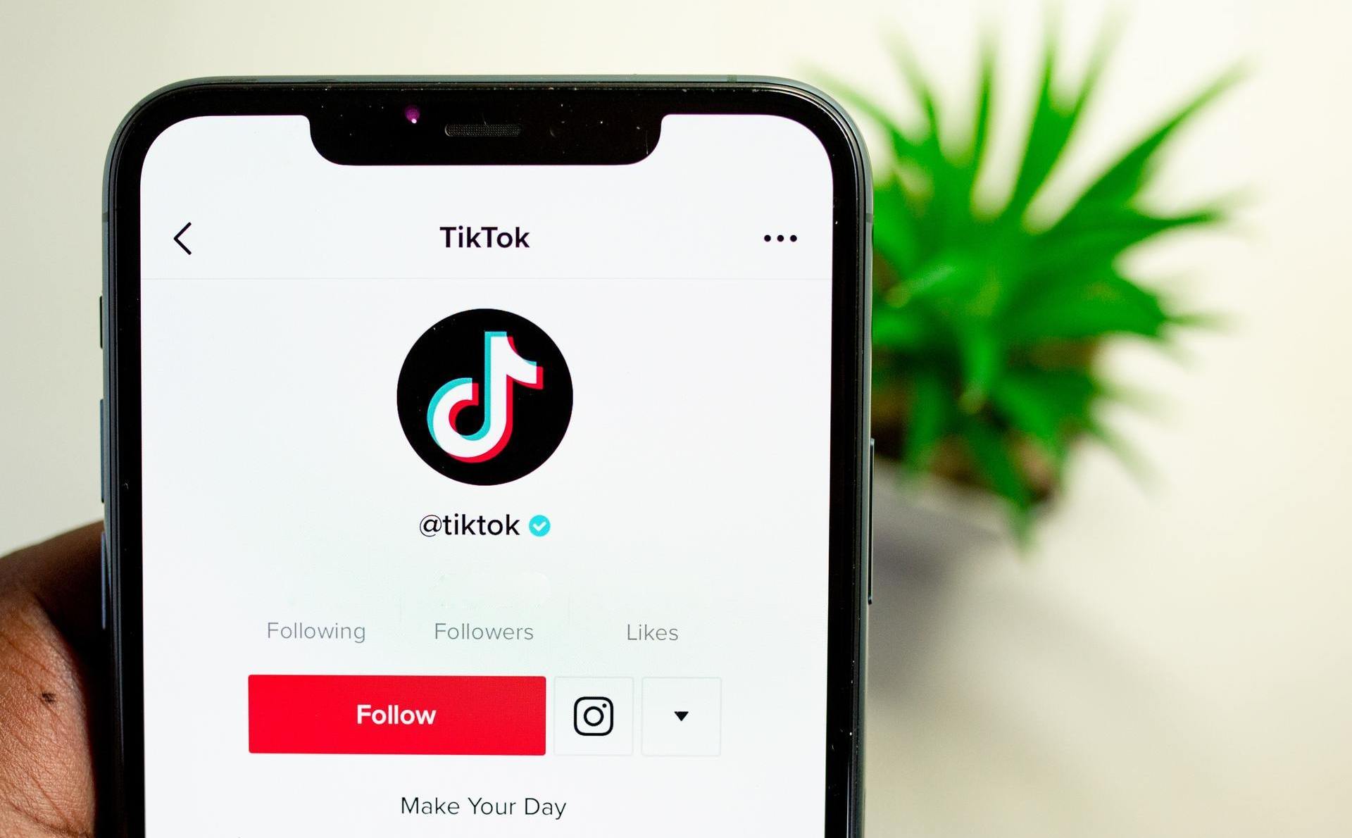 TikTok profile open on the TikTok mobile app